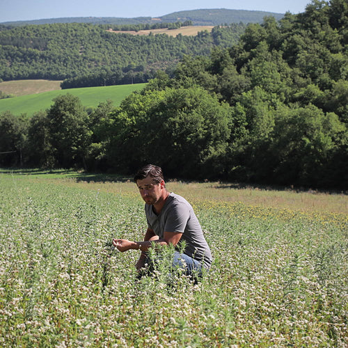 Davines Essential Haircare shampoo refill pouches 500ml