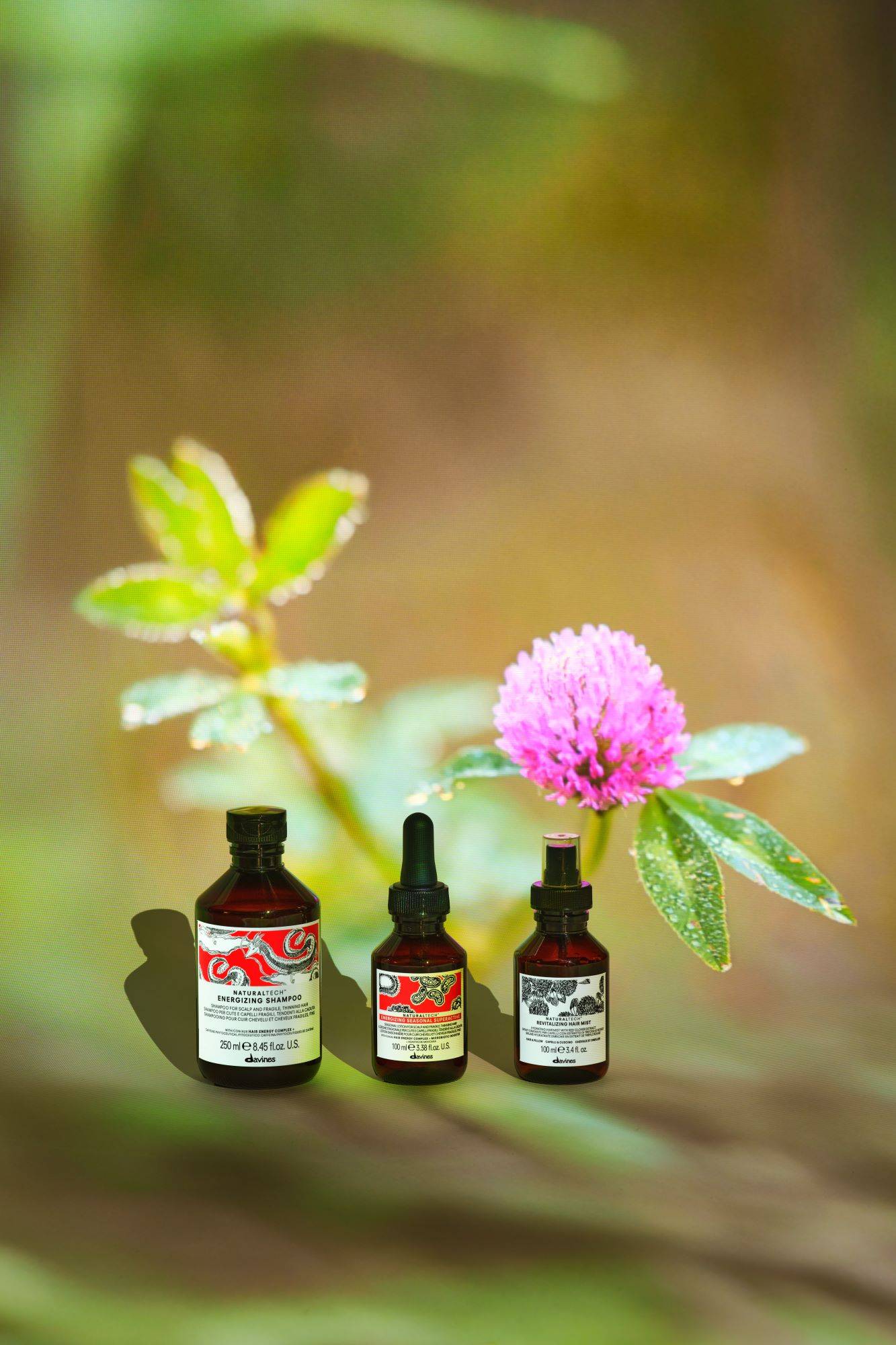 2-3_energizing_lk25__PID:dfc5c754-f873-435e-bae5-a0566b65791b