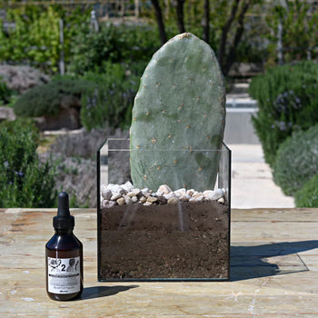 hydrating.jpg__PID:de5d92ba-abbd-4719-bca2-4368904a411e