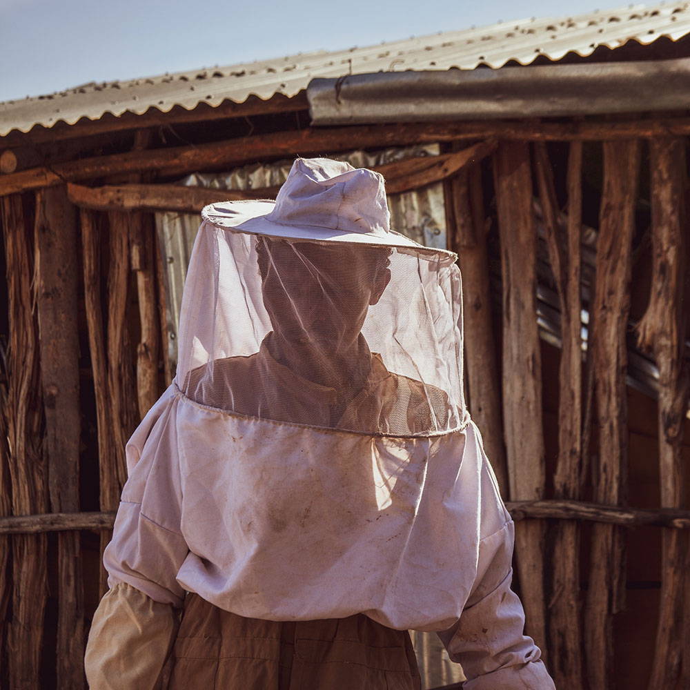 __PID:22769972-be97-4bce-8371-4f6ca57038af