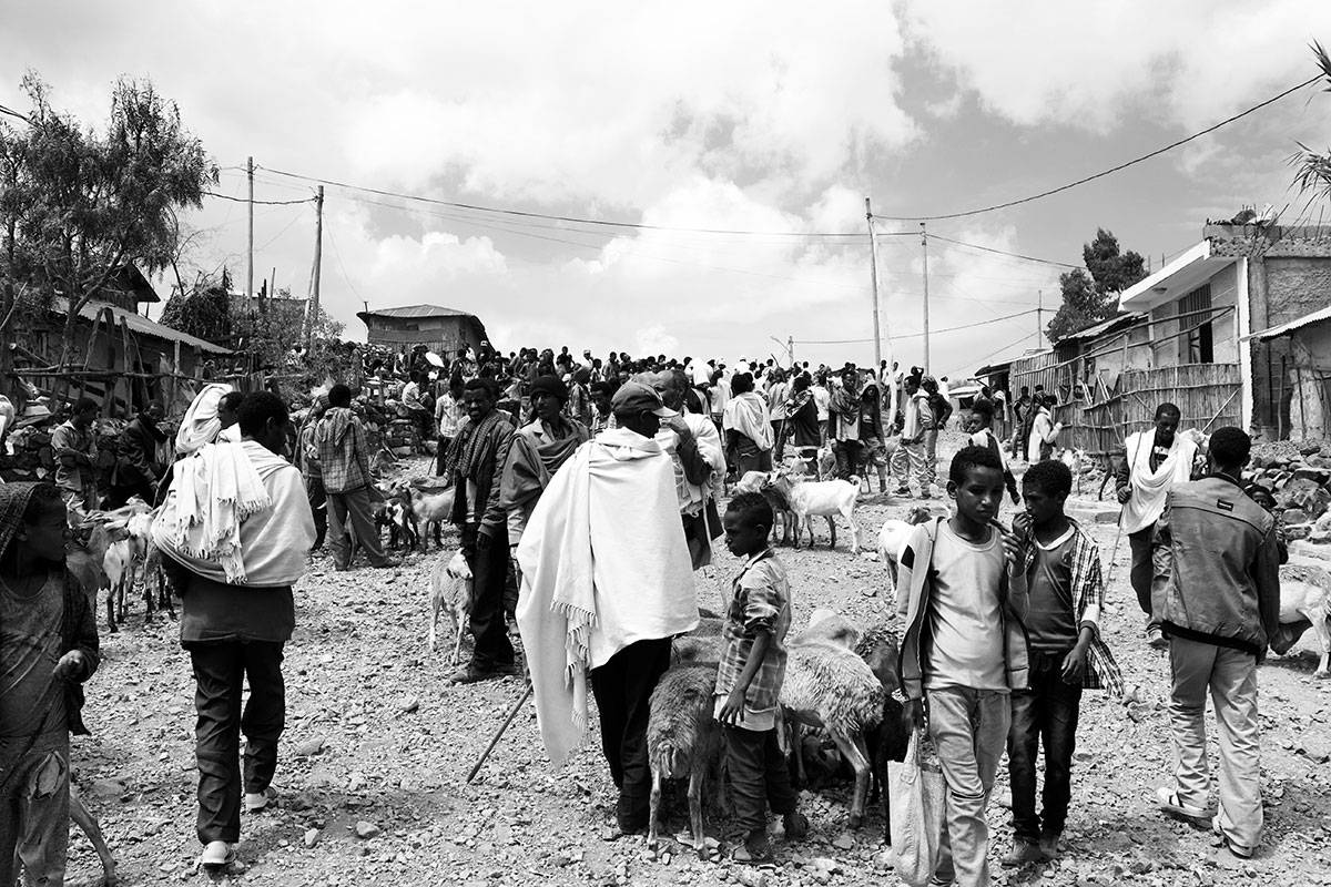 __PID:6ee19348-4ec6-41b4-b0ba-005ce5124489