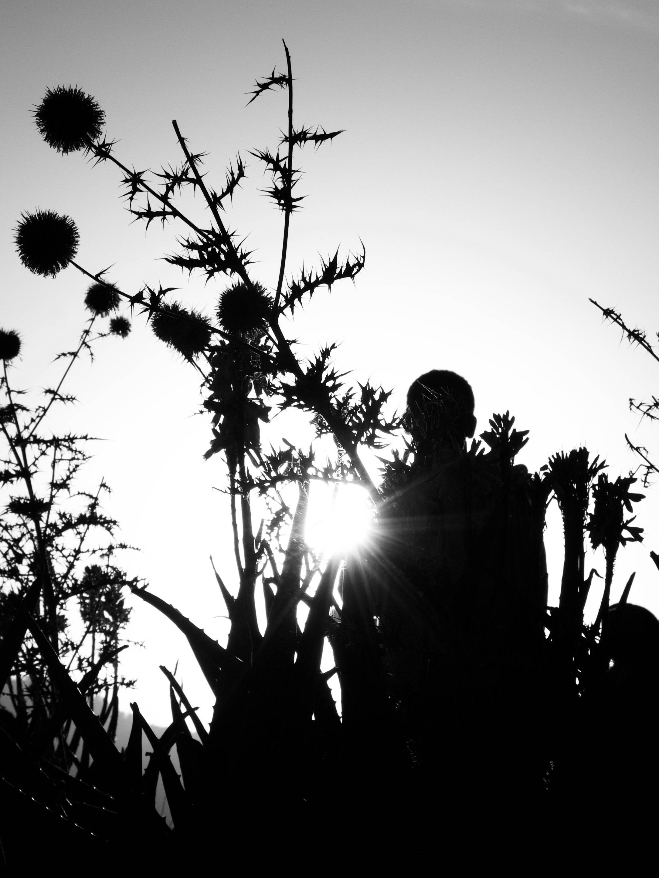 __PID:8177922e-d2e9-436d-95cf-9ddbd74b6559