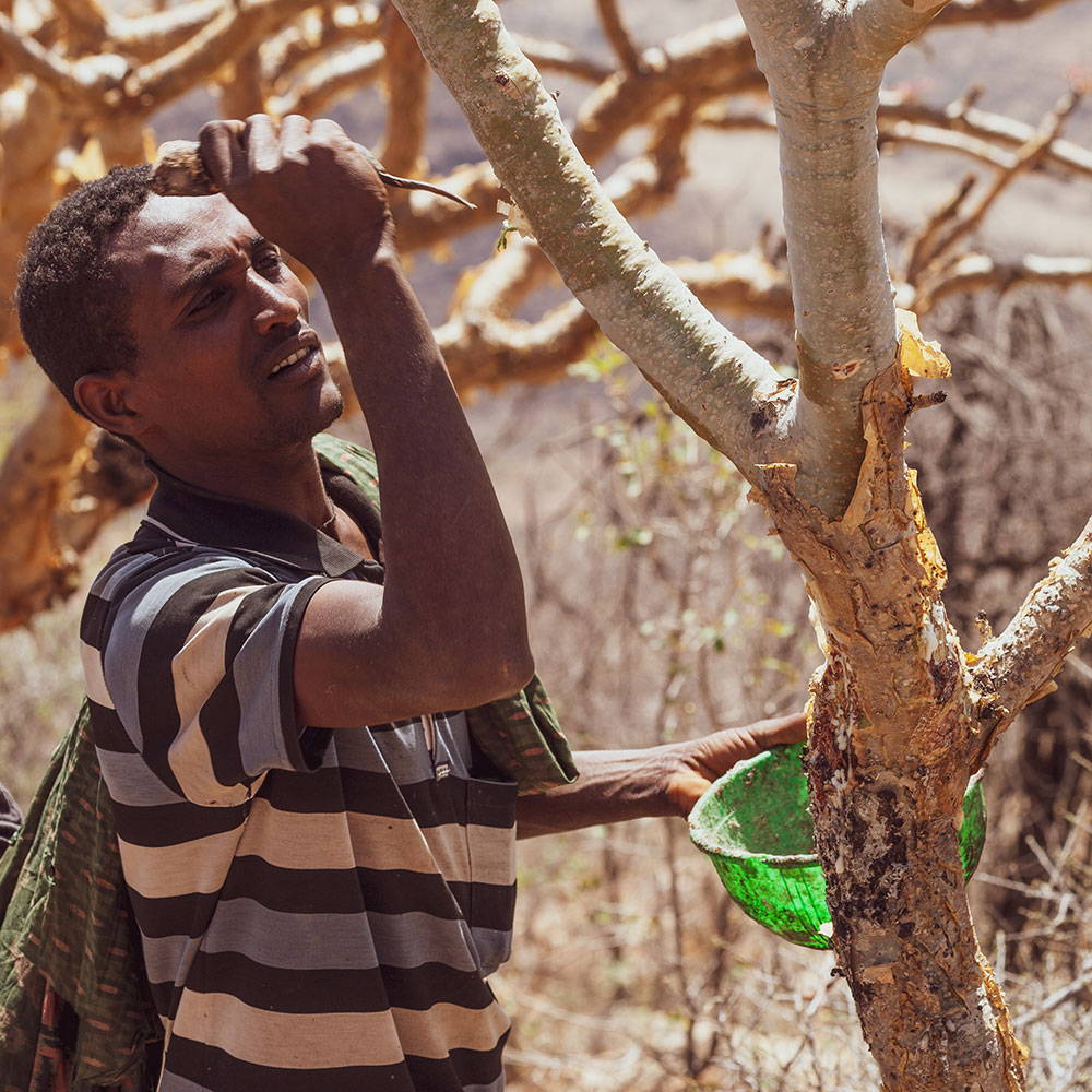 __PID:ff2812ea-e295-4345-b5be-9a939fdfd2cd