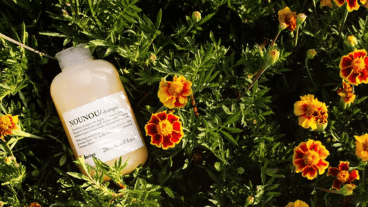 Celebrate International Women's Day with us