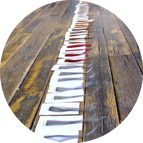 __PID:a25f73fd-948a-441c-9f56-c750729e5cc2